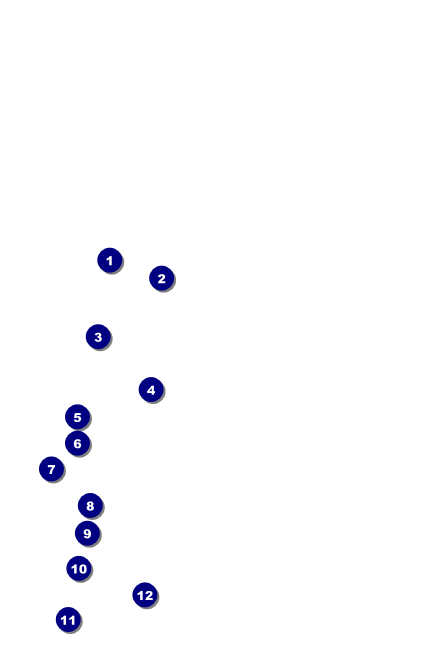 Poetry Quill Drink Ticket Front Field Markers