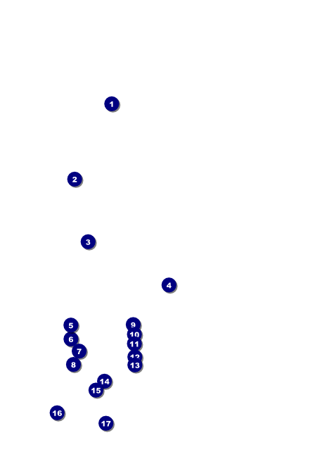 Steak & Beer Flyer Front Field Markers