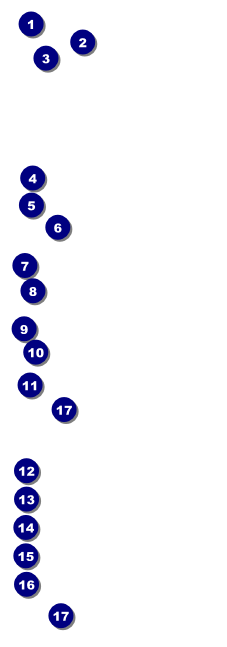 Blue Flower Raffle Ticket Front Field Markers