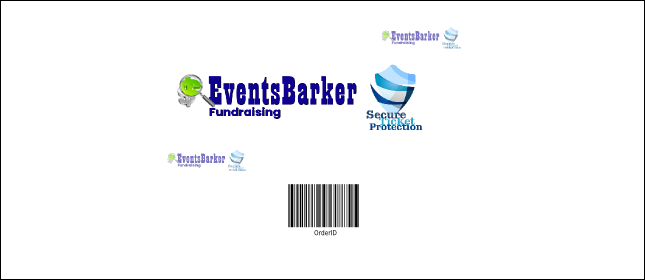 Fun Run VIP Pass Product Back