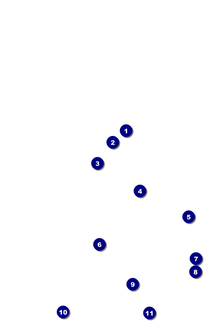 Women's Expo 3 Drink Ticket Front Field Markers