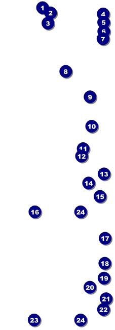 All Purpose Retro Event Ticket Front Field Markers