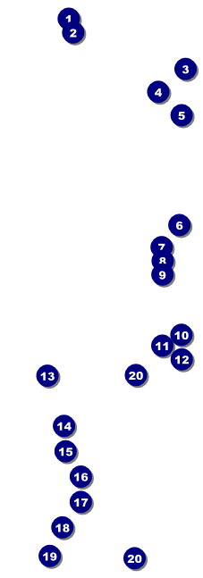Australia Raffle Ticket Front Field Markers