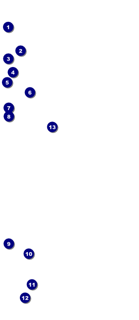 Books VIP Pass Front Field Markers