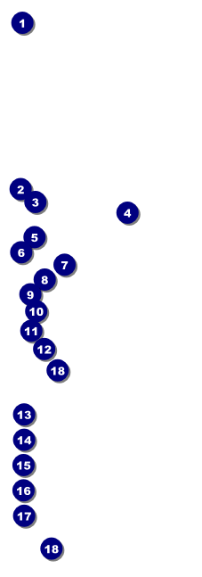 Humane Society Raffle Ticket Front Field Markers