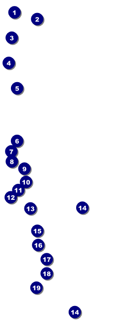Murder Mystery Raffle Ticket Front Field Markers