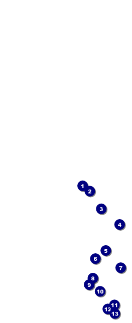 Classic Black Pinstripe Table Tent Front Field Markers