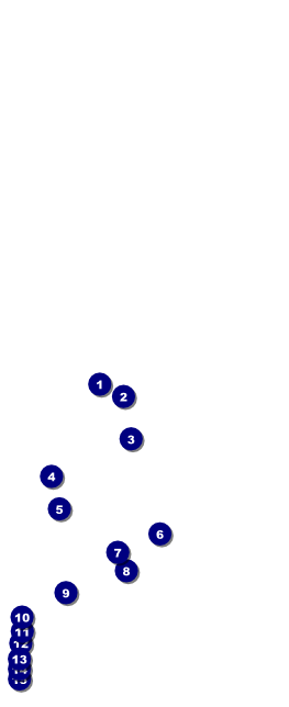 Soccer Field Table Tent Front Field Markers