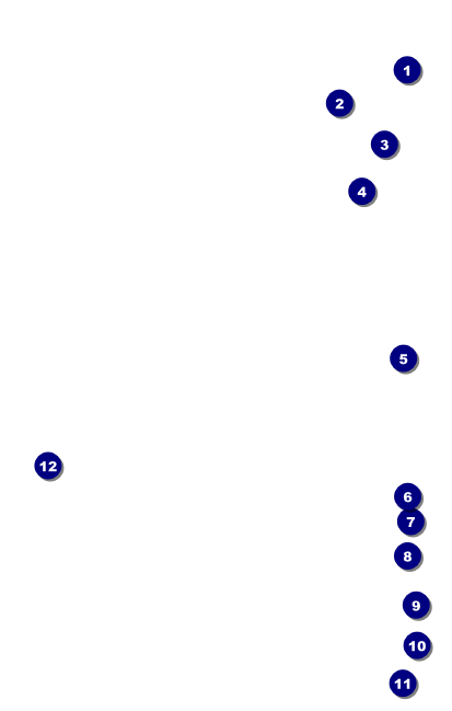 St. Patrick's Day Party VIP Event Badge Medium Front Field Markers