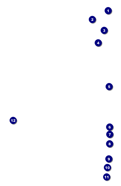 St. Patrick's Day Party VIP Event Badge Small Front Field Markers