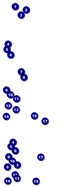 Mexican Fiesta Reserved Event Ticket Front Field Markers