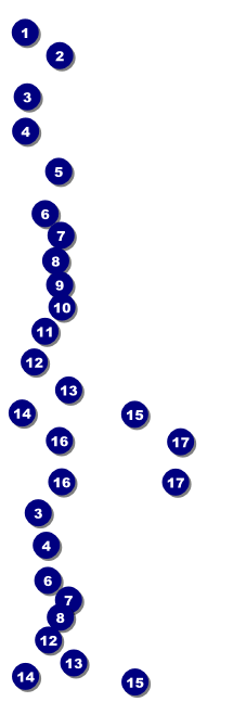 Yellow Rose Reserved Event Ticket Front Field Markers