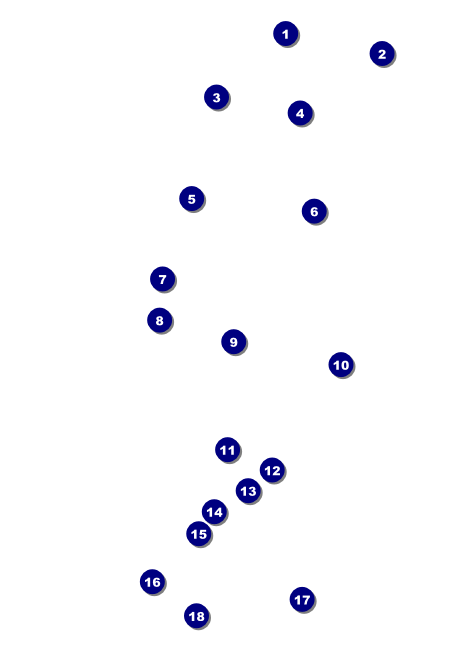 All Purpose Circles Black and White Invitation Front Field Markers