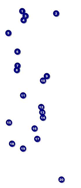 Spring Festival VIP Pass Front Field Markers