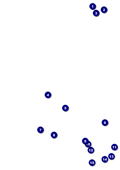 Chinese New Year Rooster Postcard Front Field Markers