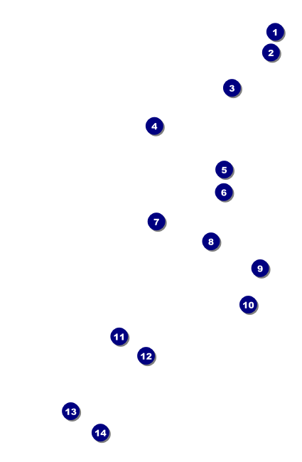 Chinese New Year Pig Drink Ticket Front Field Markers
