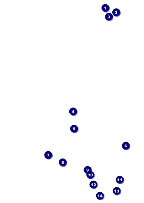 Chinese New Year Dog Postcard Front Field Markers