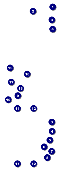 Pool Challenge Event Ticket Front Field Markers