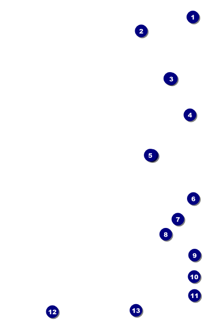 Premier League Darts 2017 Drink Ticket Front Field Markers