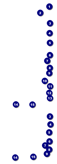 Dart Tournament Event Ticket Front Field Markers