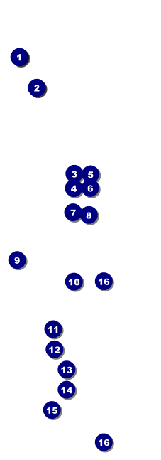 Retro Spaghetti Raffle Ticket Front Field Markers