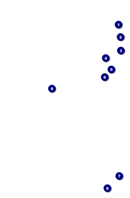 World Travel VIP Event Badge Small Front Field Markers