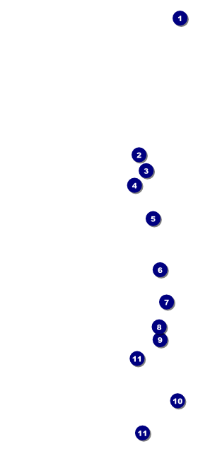Fourth of July Freedom Blue Hang Tag Front Field Markers