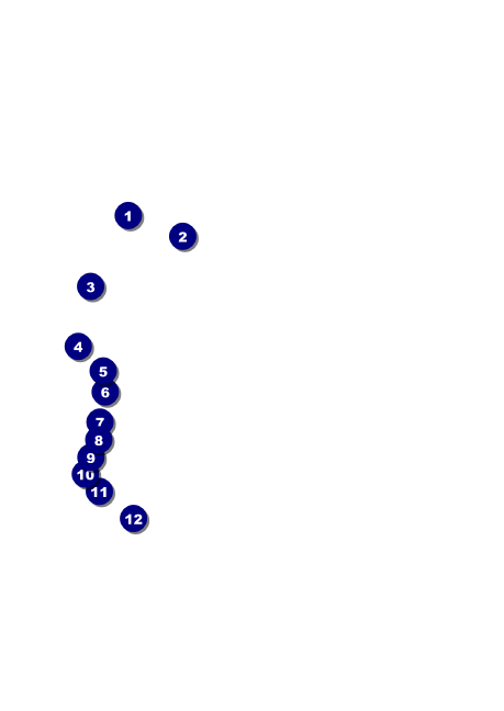 Fire and Ice Postcard Mailer Front Field Markers