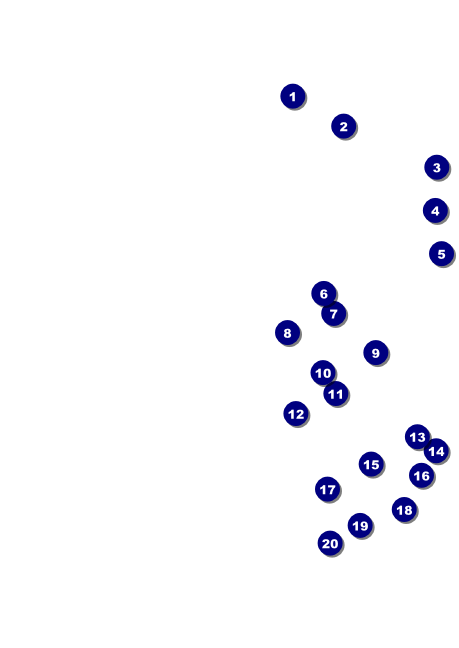 American Flag Postcard 002 Front Field Markers