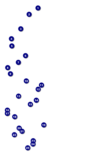 Camouflage Green White Yellow Poster Front Field Markers