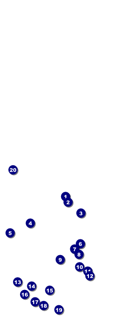 Nature Series - Desert Table Tent Front Field Markers