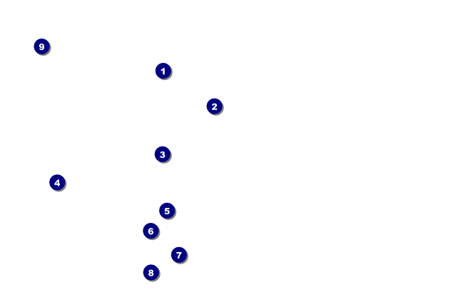 Mixed Martial Art VIP Event Badge Medium REPLACED Front Field Markers