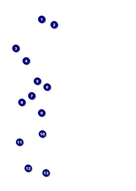 Military Ball - US Flags Postcard Front Field Markers