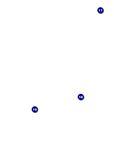 Egyptian Postcard Mailer Back Field Markers