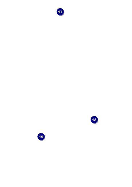 Mexican Fiesta Postcard Mailer Back Field Markers