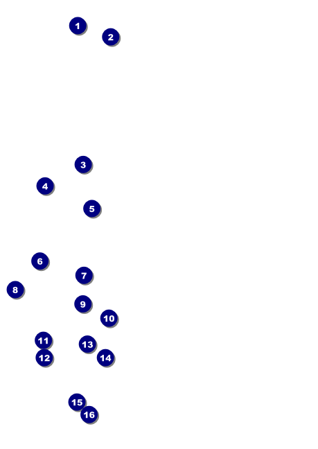 Mexican Fiesta Postcard Mailer Front Field Markers