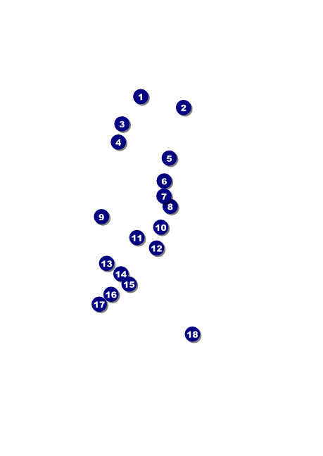 Natural Riffs Postcard Mailer Front Field Markers