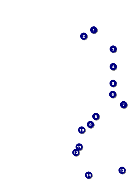 Retro Sunburst Postcard Mailer Front Field Markers