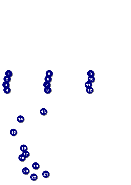 Triathlon Postcard Mailer Front Field Markers