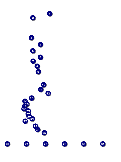 Irish Flyer Front Field Markers