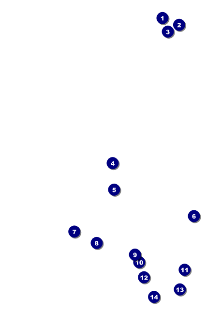 Chinese New Year Rat Postcard Front Field Markers