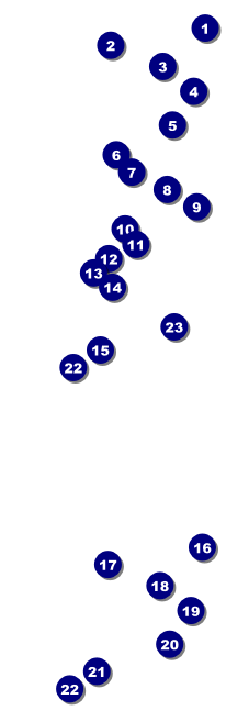 Casino Dealer Event Ticket Front Field Markers
