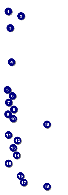 Birthday Party Green Event Ticket Front Field Markers
