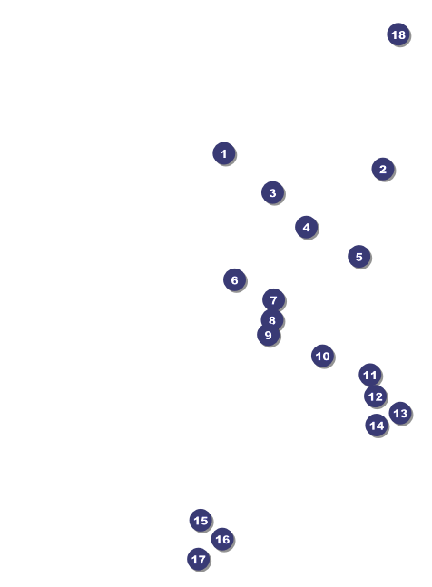 New Mexico Invitation Front Field Markers