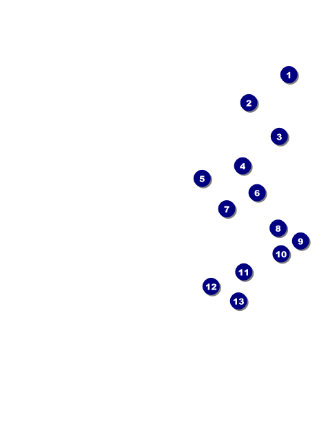North Carolina Invitation Front Field Markers