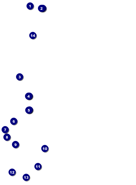 Carnival Invitation Front Field Markers