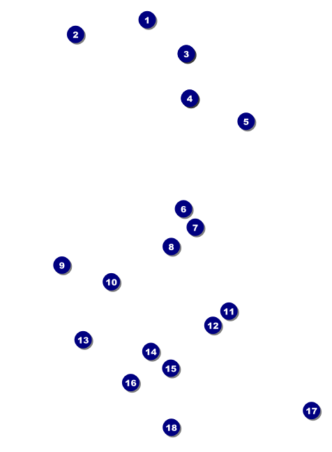 Disco Invitation Front Field Markers