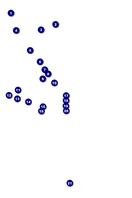 Paper Tree Poster Front Field Markers