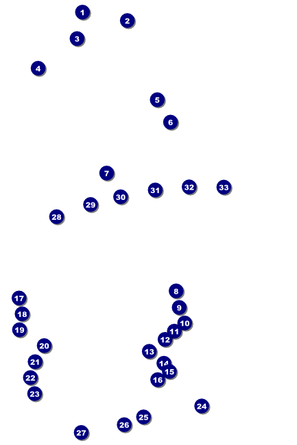St. Patrick's Day Party Poster Front Field Markers