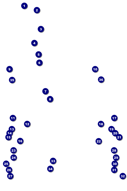 Guitar and Banjo Poster Front Field Markers
